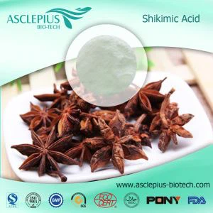 Fornecedor de extrato de anis em pó no atacado /o ingrediente ativo é ácido shiquímico, óleo essencial de anis