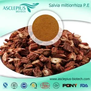 Extrato de DanShen, Extrato de Salvia Miltiorrhiza Bge, Extrato de Salvia, Salvia Quinone Ⅱ A, Tanshinone Ⅱ A, Fornecedor de Cryptotanshinone Atacado